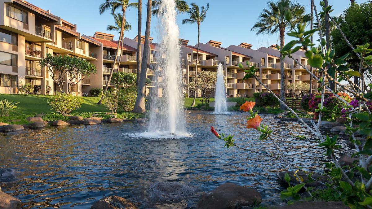 **Newly Remodeled** Steps To Kamaole 3 Beach! Wailea  Ngoại thất bức ảnh